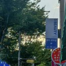 호주뉴질랜드면세점 대구서문시장점 | 대구 중구 미용실 '3뷰티 본점' 남자 애즈펌 후기
