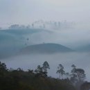 경주 보문단지 (보문호수) 겨울 산책 아빠와아들 이미지