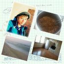 통일동산우체국 이미지