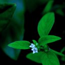 영상세계 이미지