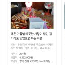 시영종합사회복지관 이미지