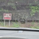 청림서당 | 경남 ㅣ 하동 6월 가볼만한곳 ㅣ 삼성궁 가면서 산책하기 좋은 "청학동 예절학교 청림서당"