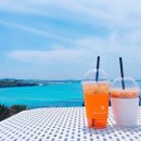 엄정길 | 와그 제주 핑크버스투어 - 서부편 후기