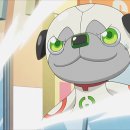 캐치파워 이미지