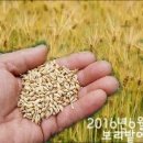 아하스토어팜