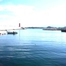 문암1리항 이미지