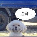 온전한실내 이미지