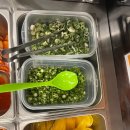 오이도 방파제 칼제비 이미지