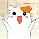 휘트니스트리 이미지
