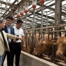 소들농장 이미지