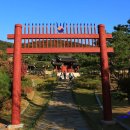 유림-1151 이미지