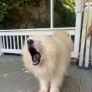 줄라이모닝 이미지