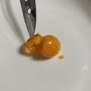 무드리 | ver.🙋🏻‍♀️ [까먹는 젤리 팝업] 요즘 핫한 까먹는 젤리 리뷰 | 무드리 과일젤리 🥭 | 까먹는 젤리 까먹는 법