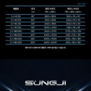 KC환경서비스(주)창원사업부 | [SUNGJI] 성지 SJ-NC 전동스크린 무선 노출형빔스크린/80인치,100인치, 120인치, 150인치
