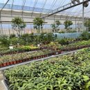 왕궁포레스트 이미지