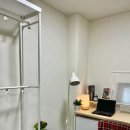 스테이나무 이미지