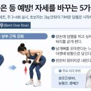 웨이티드 데드버그(Weighted Dead Bug) 깊은 코어 근육 강화 이미지