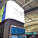 지큐픽 | 태풍에서 살아남기 - 필리핀 칼리보 감금기