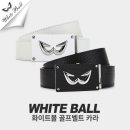 디지지에스 이미지
