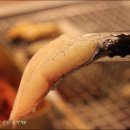 풍천민물장어 이미지