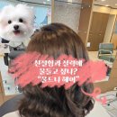 [동래구 미용실] 친절하고 머리잘하는 미용실 “물드니 헤어” 친절함에 물들어 버린 헤어샵