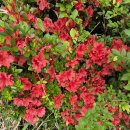 동광목장 이미지