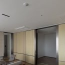 소노펠리체 델피노 이미지