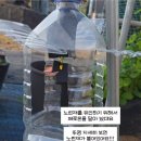 산직농장 | 선향원 블루베리 구매 성공후기