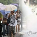소나기 - 진주시 대신로 289-1 | 소나기