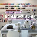 광주 풍암동 [르클레르] 토탈 뷰티샵 네일 후기 원데이 클래스