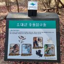 평창 여행 오대산 월정사 단풍 선재길 섶다리 코스 전나무숲길 트레킹