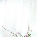 라로즈스쿨 이미지