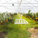 상읍농장 이미지