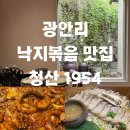 청산 | 부산 광안리 낙지볶음 맛집 맛청산1954 방문 후기