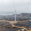 신화1태양광발전소 이미지