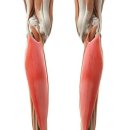 오가닉플러스 이미지