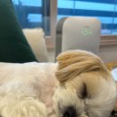 젤리뽀개린이집 이미지