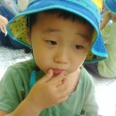 태산농장1 이미지