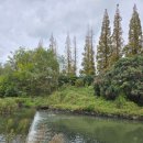 여천천자전거길 이미지