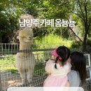 옴뇸뇸 | 별내 카페 남양주 동물 카페 옴뇸뇸 아이랑 후기