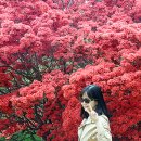 완산-23 이미지
