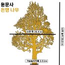 양평 가볼만한 곳, 전망이 좋지만, 등산은 무척 힘든 용문산 가섭봉 등산코스