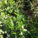 무량농장 이미지