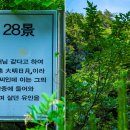 운일암반일암숲길 이미지