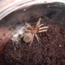 엔트리헤어 이미지