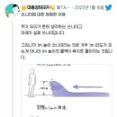 쓰나미에 대해 알아보기 이미지