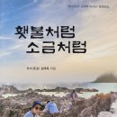 횃불약국 이미지