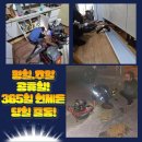 석우리 | 양주 변기막힘 광적 석우리 화장실뚫음 배관청소 역류 대응 전문