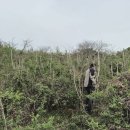 금당목장 이미지