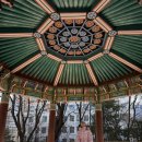 용인대 석사 서울시 대표 태권도 | [공지] 태권도9단 승단-용인대석사태권도,줄넘기-김호길